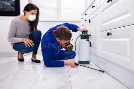 Best Residential Pest Control  in Cape Charles, VA